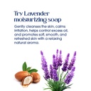 Skincera Sheabutter Slides 4.jpg