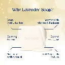 Skincera Sheabutter Lavender Slides 5.webp