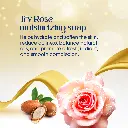 Skincera Sheabutter Rose Slides 3.webp