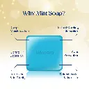Mint Soap 5.webp