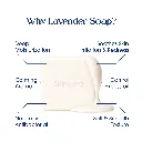Skincera Sheabutter Lavender Slides 5.webp